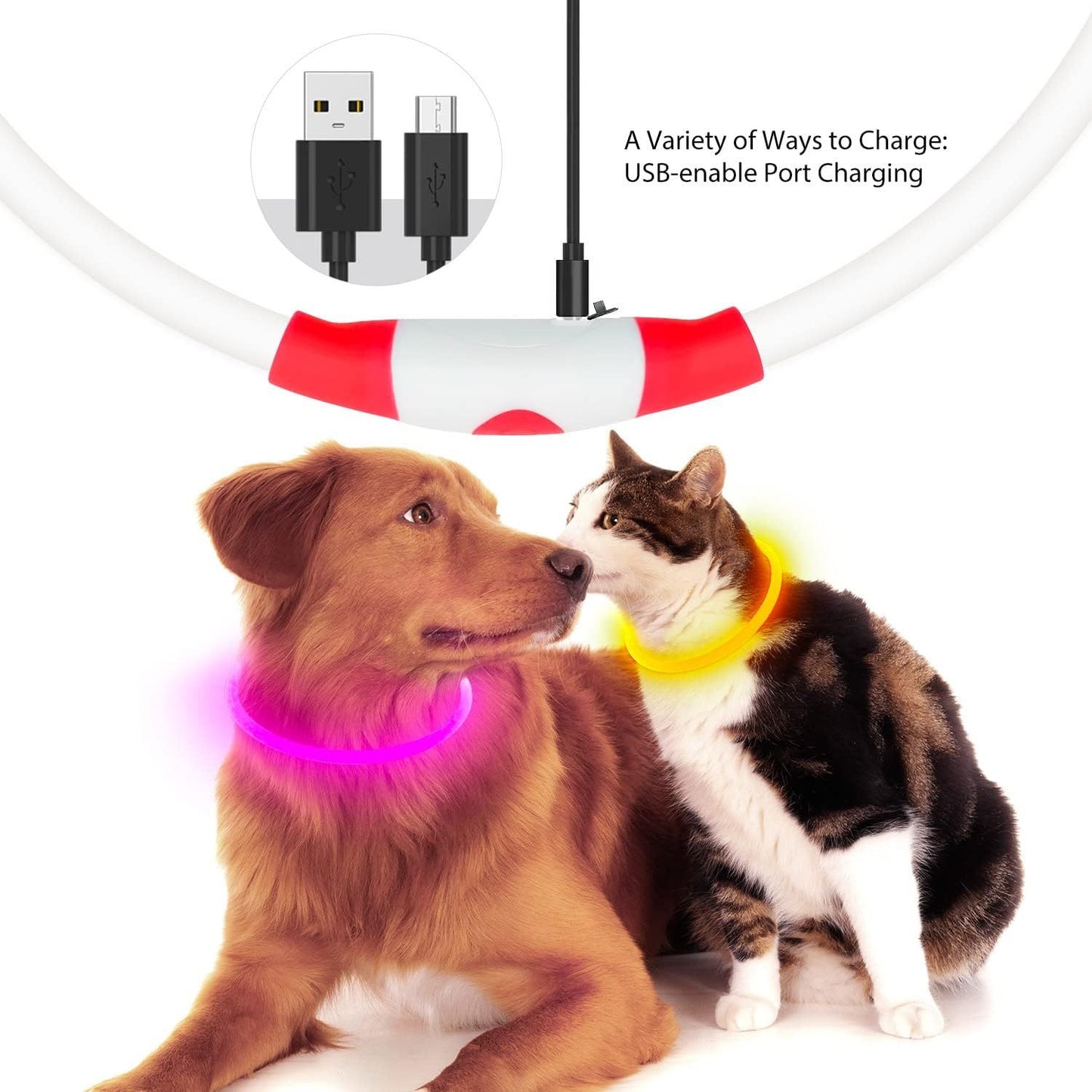 Collier lumineux pour chats et chiens à LED, rechargeable par USB – Collier de sécurité lumineux qui brille dans le noir pour vous et votre animal de compagnie.
