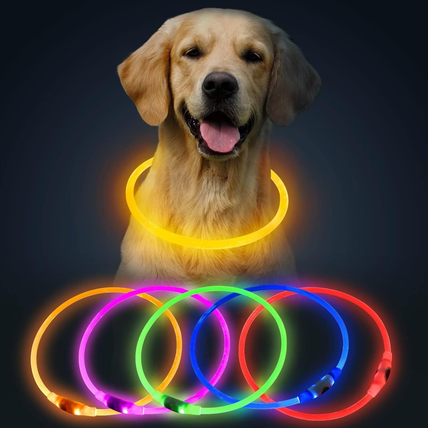 Collier lumineux pour chats et chiens à LED, rechargeable par USB – Collier de sécurité lumineux qui brille dans le noir pour vous et votre animal de compagnie.