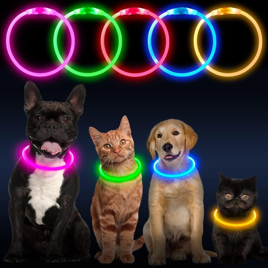 Collier lumineux pour chats et chiens à LED, rechargeable par USB – Collier de sécurité lumineux qui brille dans le noir pour vous et votre animal de compagnie.