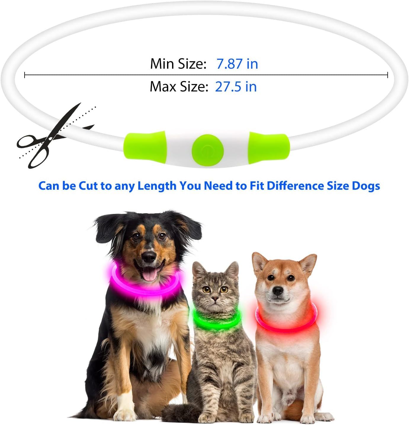 Collier lumineux pour chats et chiens à LED, rechargeable par USB – Collier de sécurité lumineux qui brille dans le noir pour vous et votre animal de compagnie.